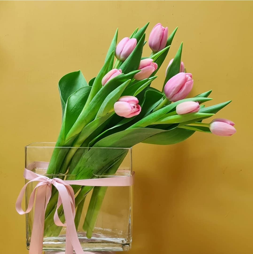 Wrapped Tulips