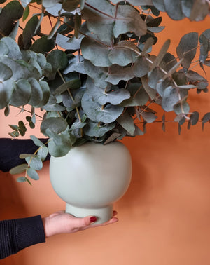 Eucalyptus in Vase