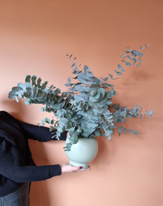 Eucalyptus in Vase
