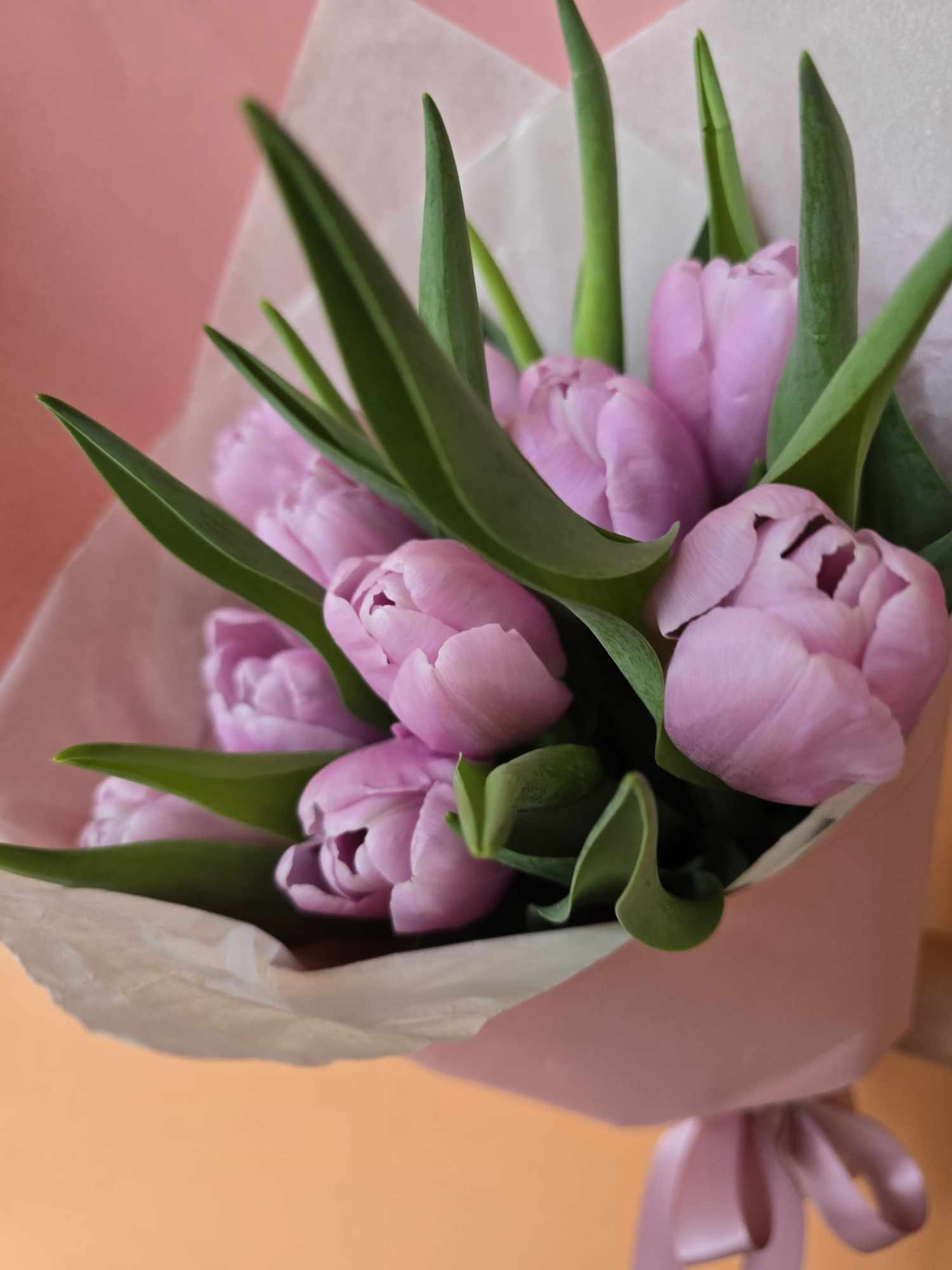 Wrapped Tulips