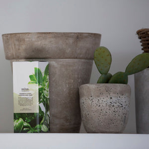 Salus Hand Wash