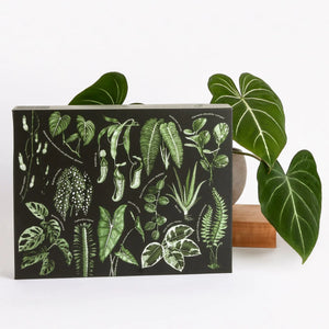 Leaf Supply - Houseplant Jigsaw Puzzle