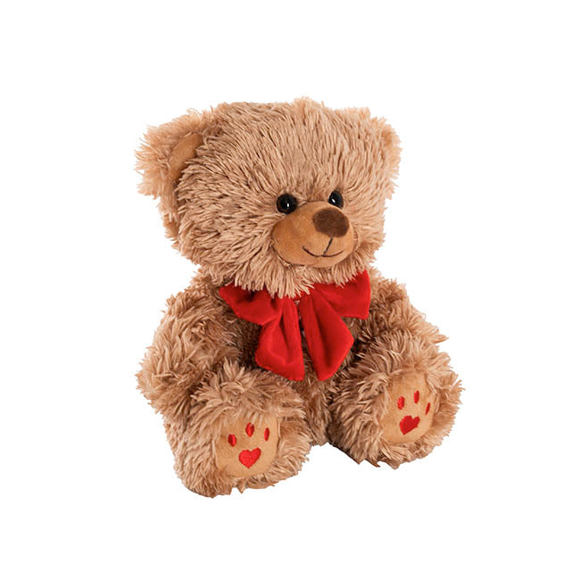 Valentine's Teddy