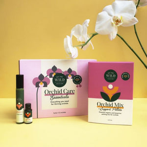Orchid Care Essentials Kit