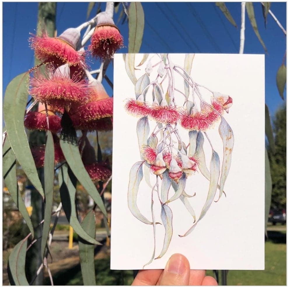 Card - Botanical Art Card