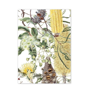 Card - Botanical Art Card
